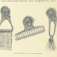 Illustration for article titled 15 of the Weirdest Images in the British Library’s New Digital Trove